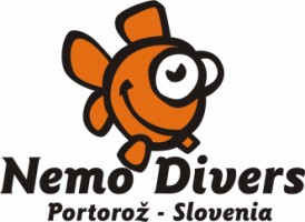 Logo Nemo Divers
