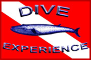 Logo Dive Experience, Inc.