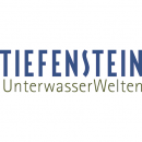 Logo Tiefenstein AG