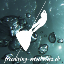 Logo Freediving Ostschweiz