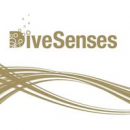 Logo DiveSenses