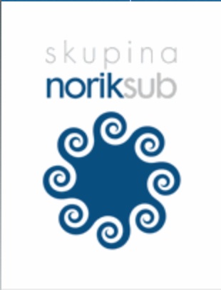 Logo Norik Sub