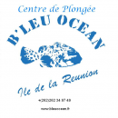 Logo BLEU OCEAN