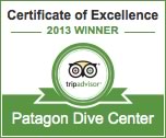 Logo Patagon Dive Center