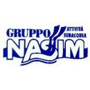 Logo GRUPPO NASIM