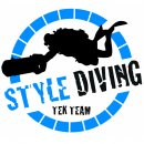 Logo Style Diving