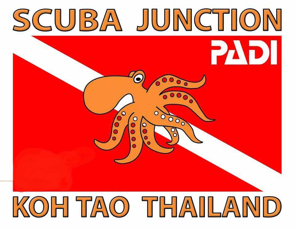 Logo Scuba Junction Diving Co Ltd
