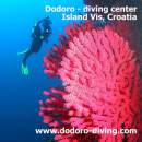 Logo DODORO diving - Island Vis Croatia