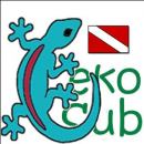 Logo Geko Sub, Kranj