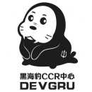 Logo DEVGRU Platinum InstructorTraining Center