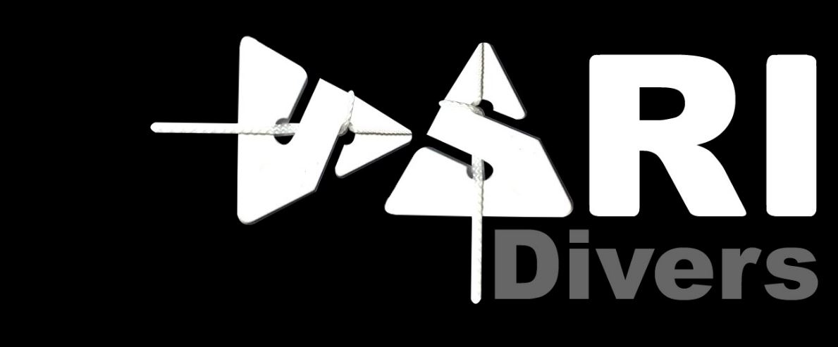 Logo Dari Divers Palau