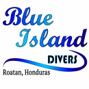 Logo Blue Island Divers