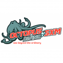 Logo Octopus Diving