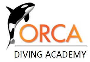 Logo Orca Diving Academy