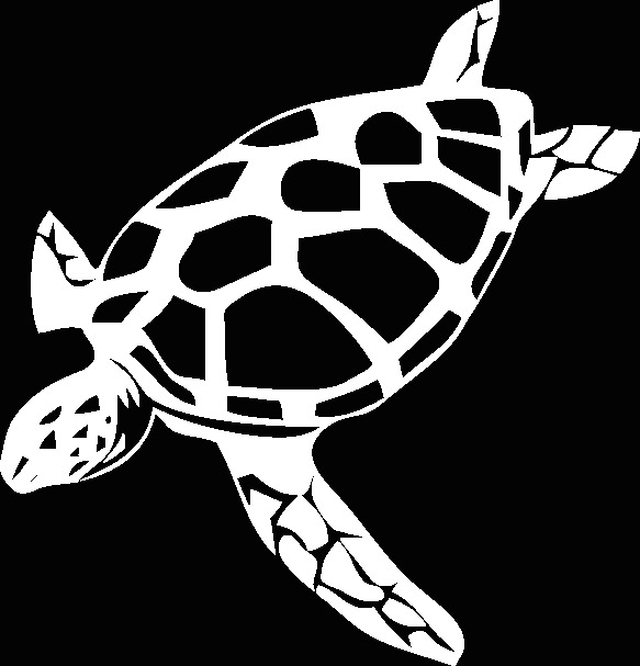 Logo Ocean Turtle Diving Limited