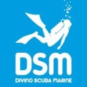 Logo DSM Brussels