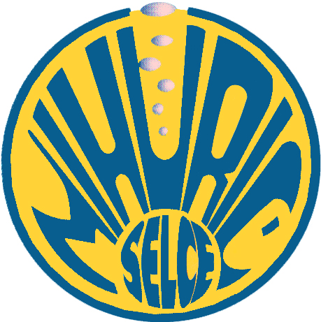 Logo DC Mihuric
