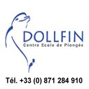 Logo Dollfin