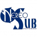 Logo Diving Center Service Nereo Sub