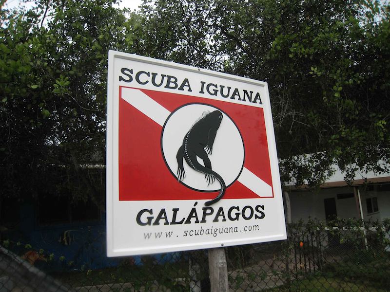 Logo Scuba Iguana