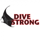 Logo DC DiveStrong