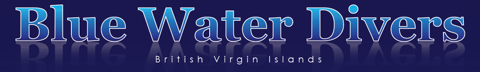 Logo Blue Water Divers