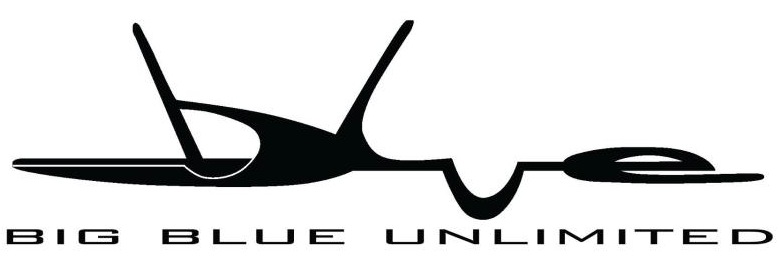 Logo Big Blue Unlimited