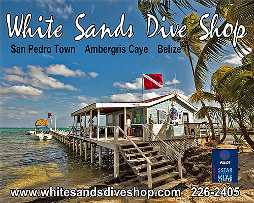 Logo White Sands Dive Shop