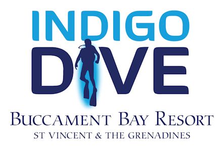 Logo Indigo Dive