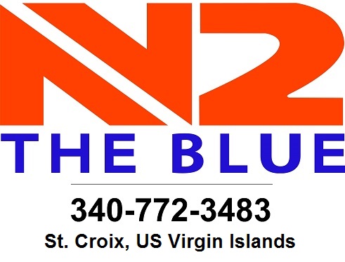 Logo N2 The Blue