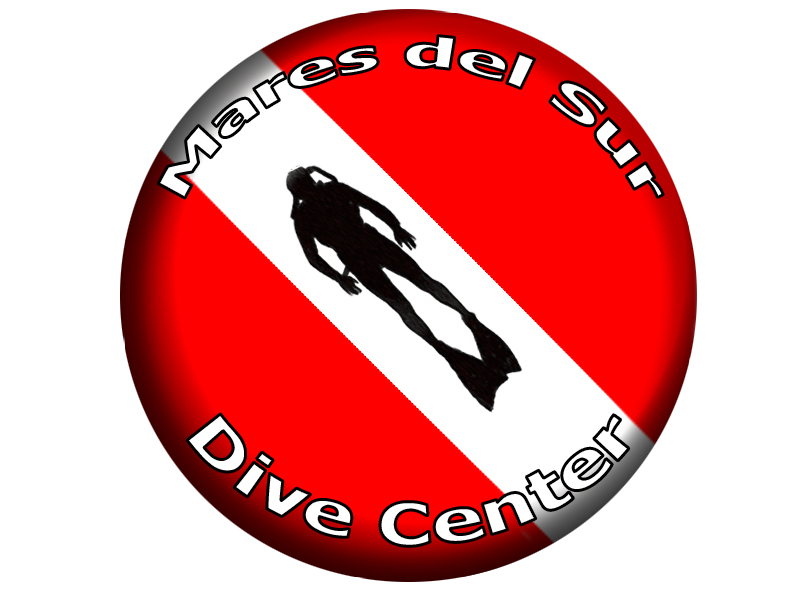 Logo Mares Del Sur Brasil