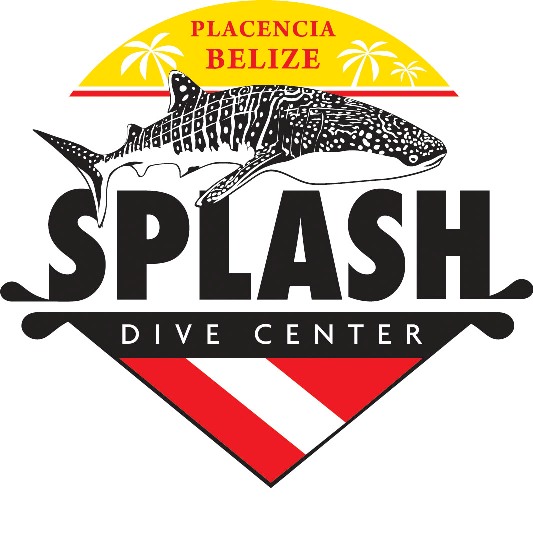 Logo Splash Dive Center