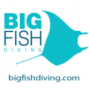 Logo BIG FISH DIVING