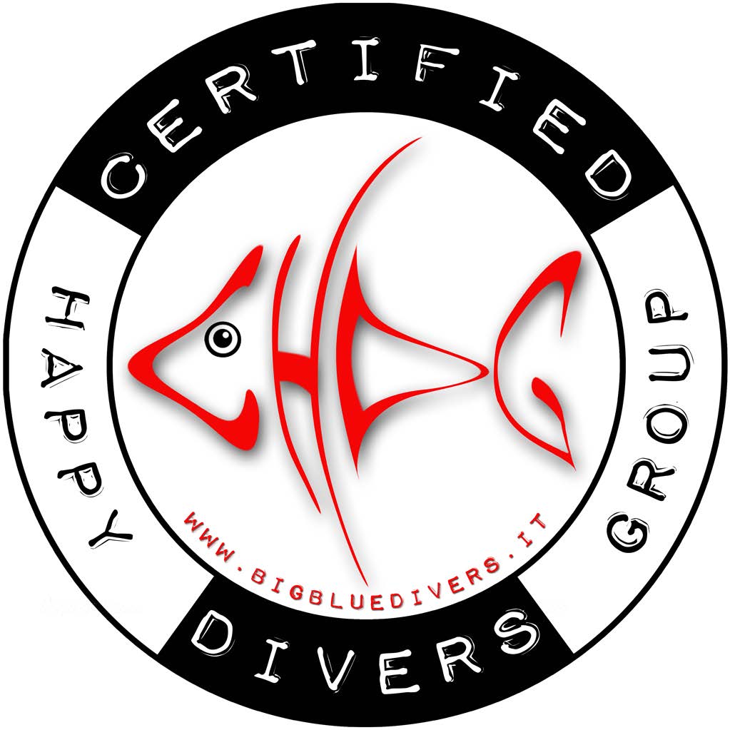 Logo BigBlue Divers