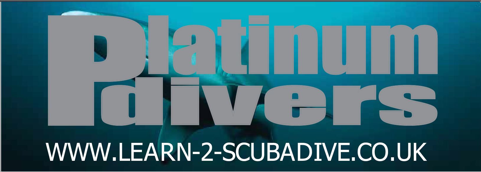 Logo Platinum Divers