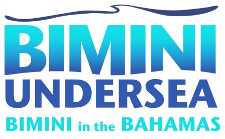 Logo Bimini Undersea