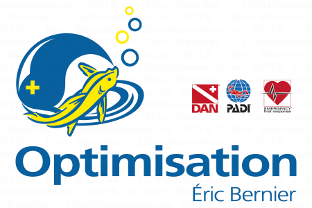 Logo Optimisation Eric Bernier