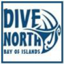 Logo Dive North