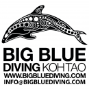 Logo Big Blue Diving