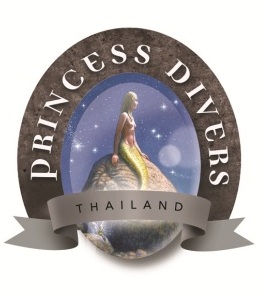 Logo Princess Divers