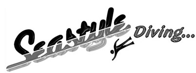 Logo Seastyle-Elwyn Harper Diving Equipment