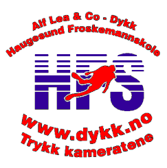 Logo Haugesund Froskemannskole AS