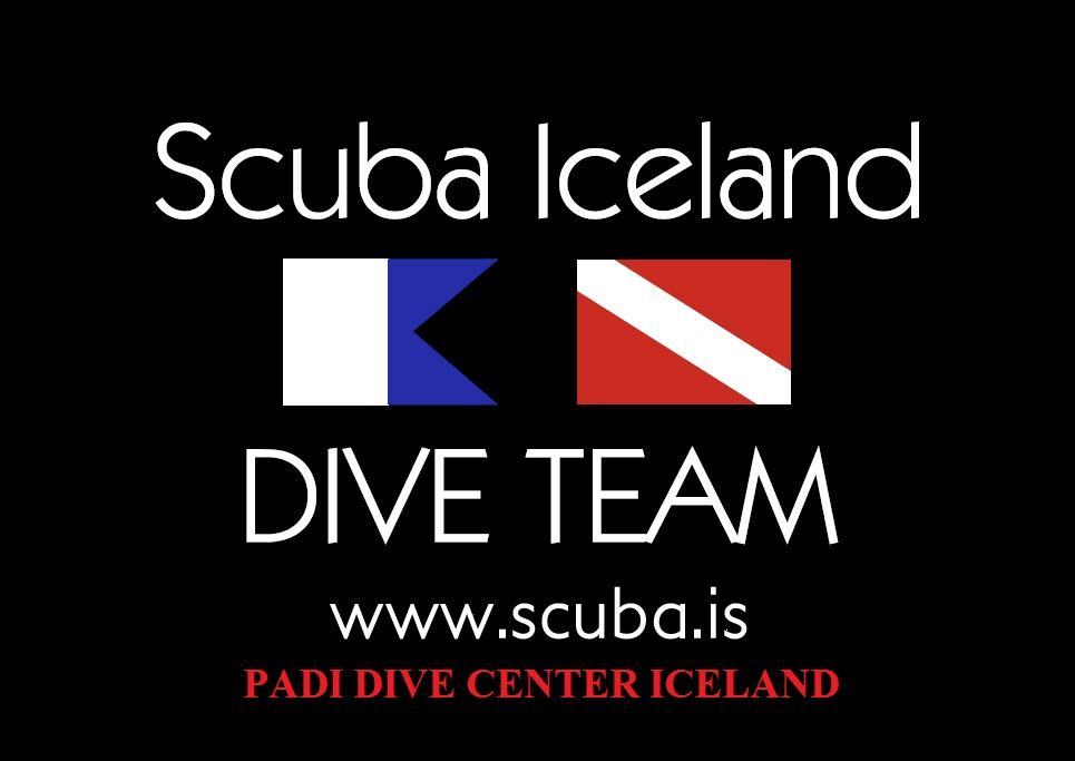 Logo Scuba Iceland