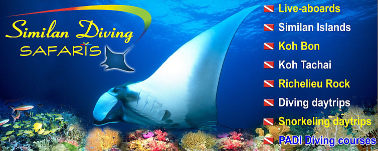 Logo Similan Diving Safaris Co, Ltd.