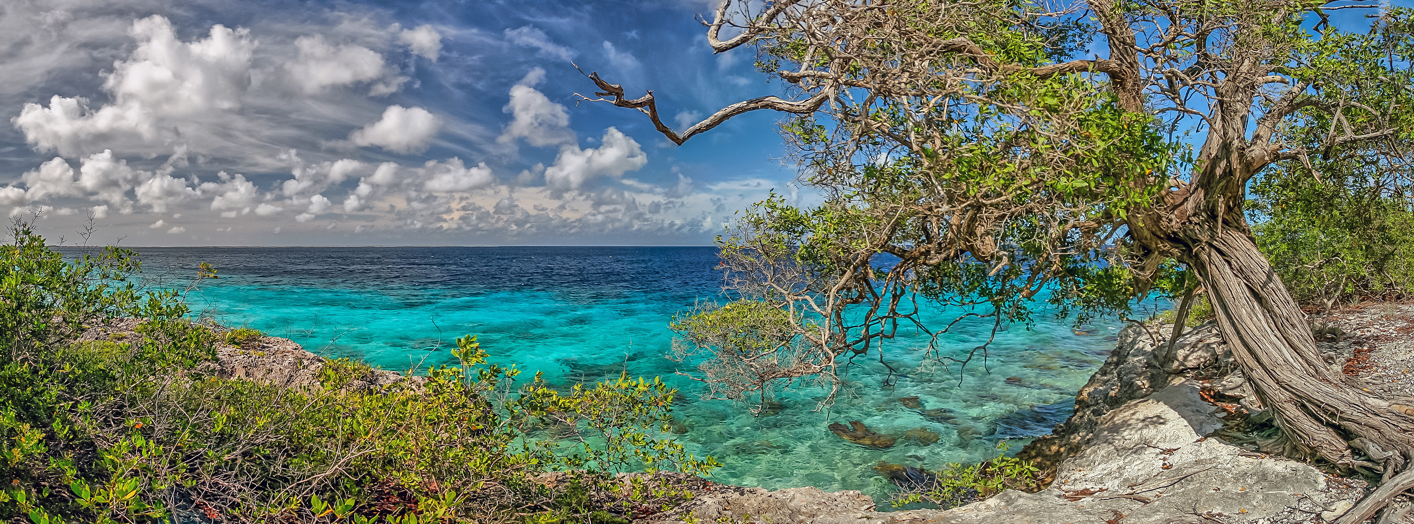 Bonaire, Sint Eustatius and Saba